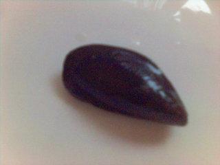 mariscal